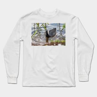 Hawaiian coot of Honolulu 2 Long Sleeve T-Shirt